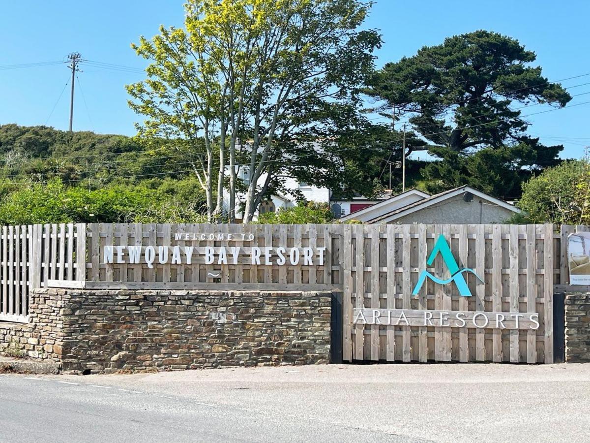 הוילה New Quay 11 Porth Valley Retreat מראה חיצוני תמונה